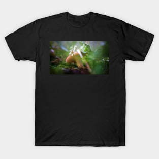 Red Capped Mushroom in the Rain T-Shirt